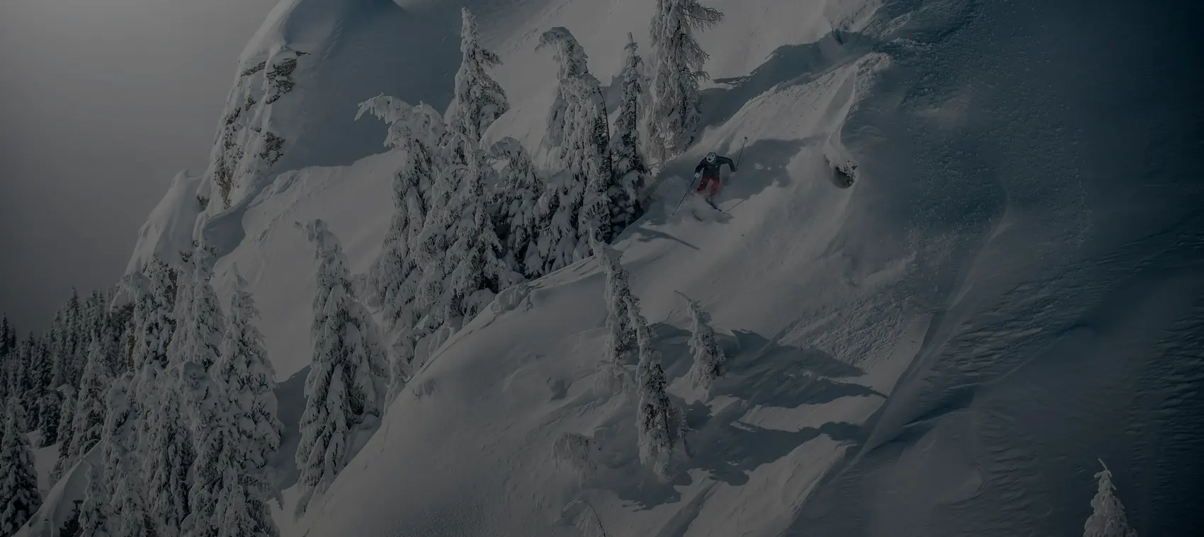 Alpine ski coaching in Whistler